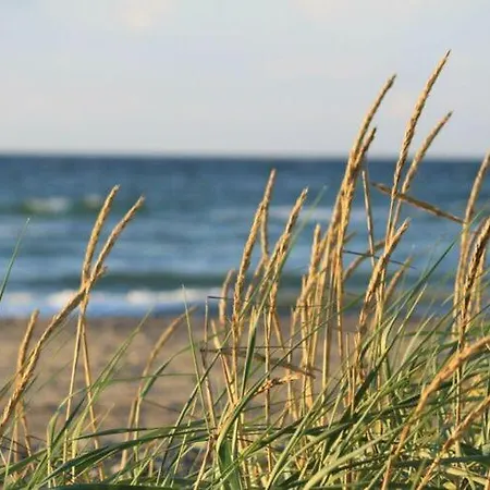Baltic Sea Mermaid, Lagoon