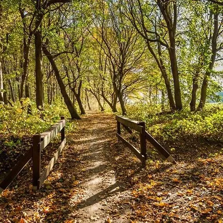 Baltic Sea Mermaid, Lagoon * Wustrow (Fischland)